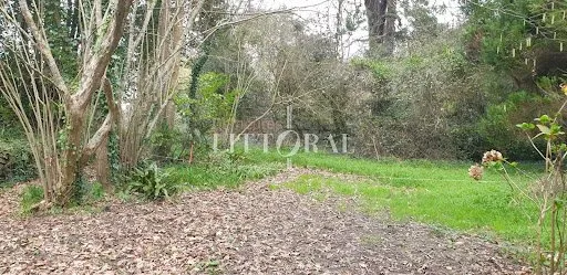 Terrain 1172 m²