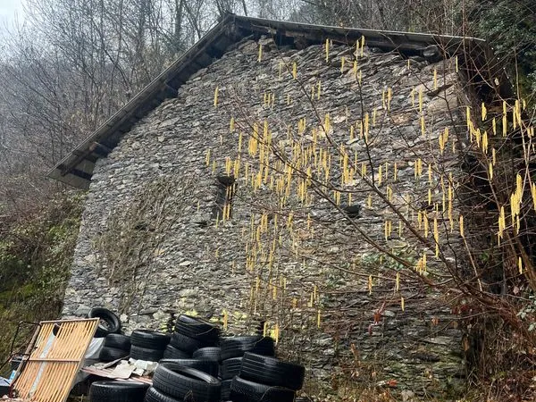 Garage à notre dame de briancon