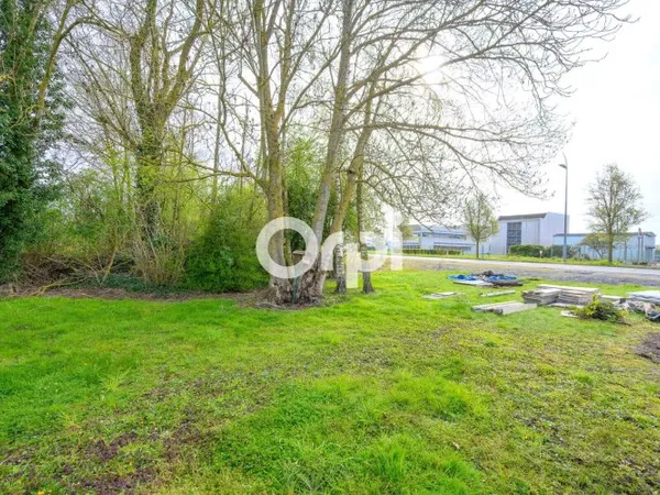 Terrain 290 m²