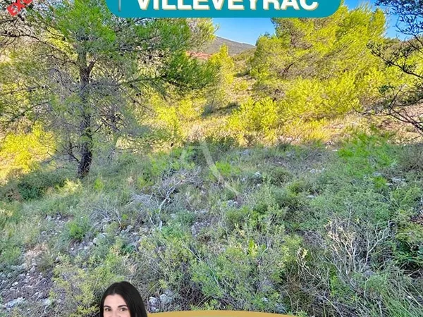 Terrain 13052 m²