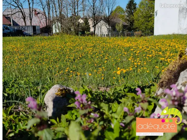 Terrain constructible 1013 m² au calme - Mignovillard