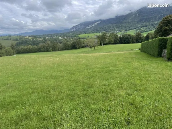 Loue pré pour chevaux