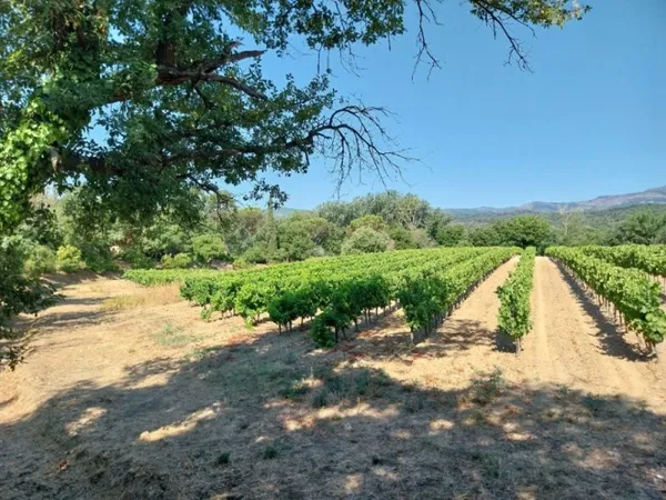 Terrain 667 m²