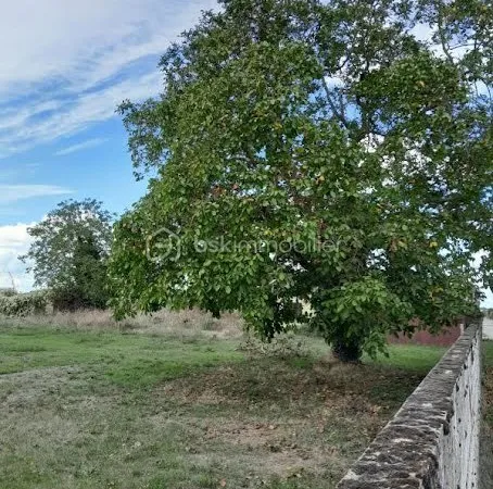 Terrain 570 m²