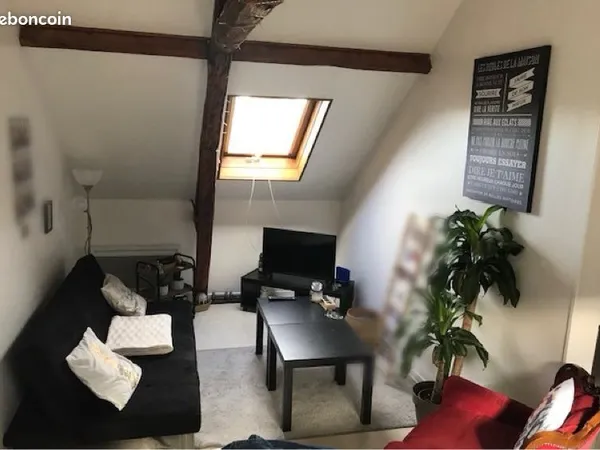 Appartement lumineux en centre-ville