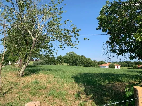 Terrain constructible 1168 m² - Cadre idéal pour une vie de famille - Urcuit