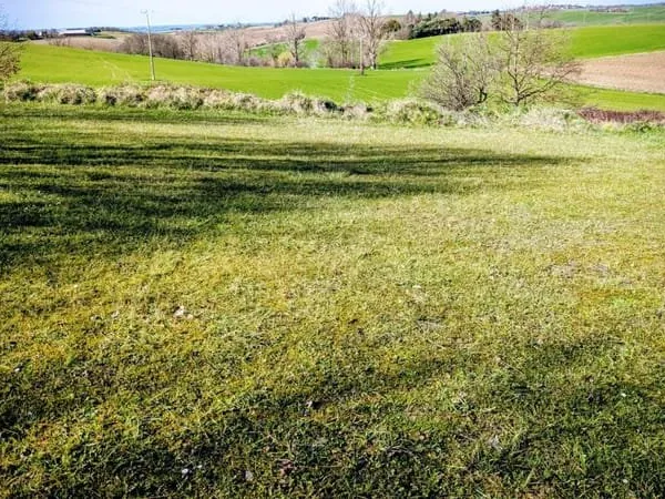 Gaillac Toulza, Terrain constructible de 1600 m² avec CU en cou