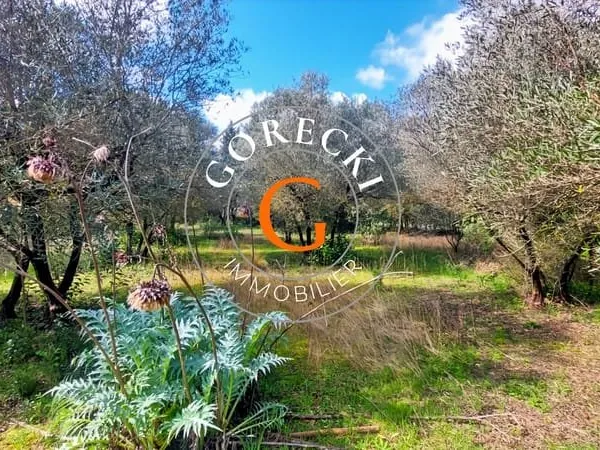 A vendre, magnifique terrain situé sur Saint-Siffret