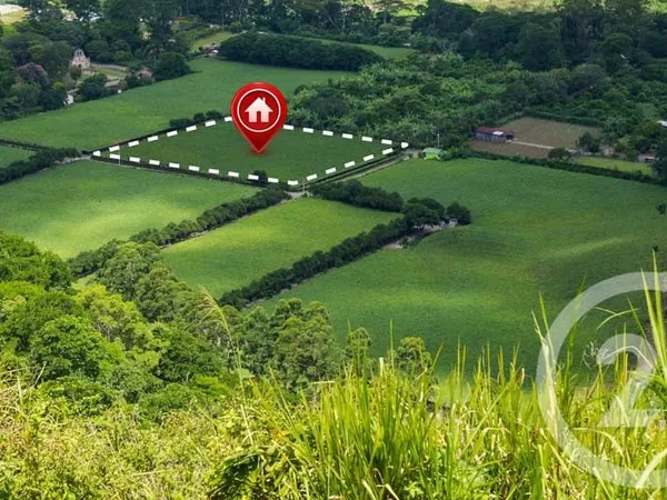 Terrain 485 m²