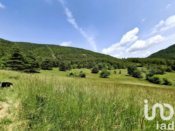 Terrain 223177 m²