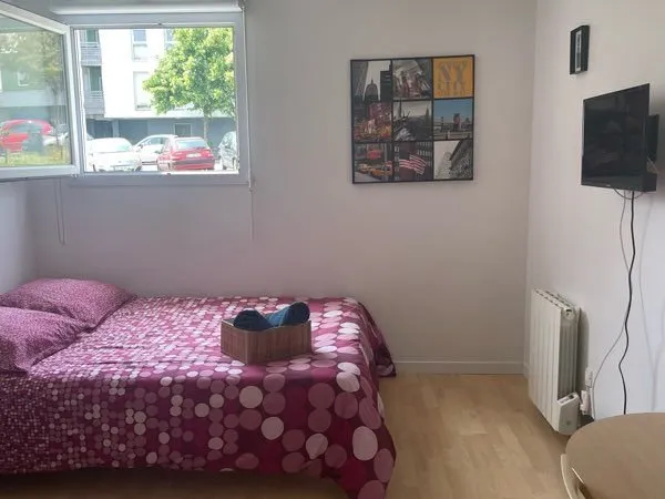Appartement Location Nantes 1p 19m² 550€