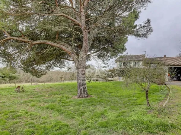 Maison Villemur Sur Tarn 6 pièce(s) 202 m2