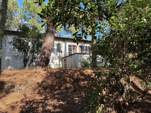 Maison à rénover dans un écrin de verdure