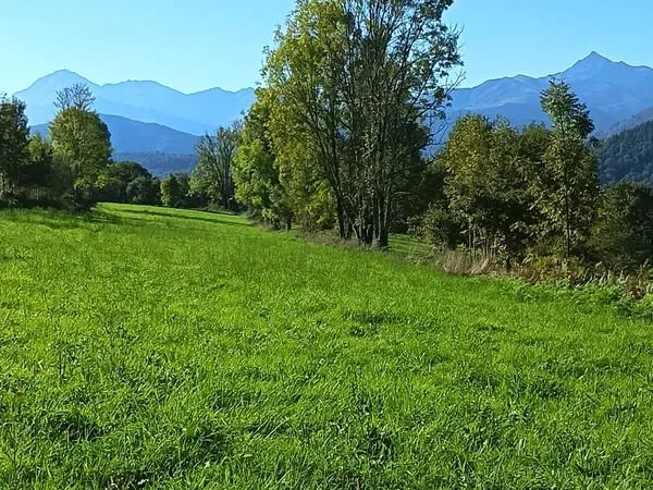 Terrain à bâtir
