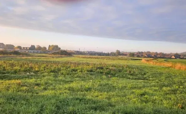 Terrain 431 m²