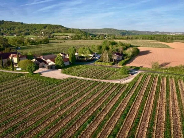 Propriété 15 pièces 310 m²