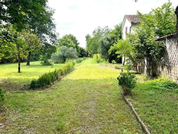 Domaine avec Maison d'Architecte - NOHIC