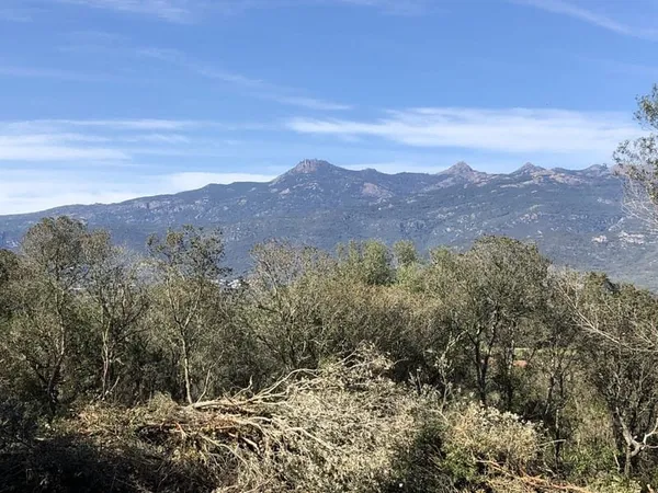 Très beau terrain vue montagne à Figari avec PC accordé pou