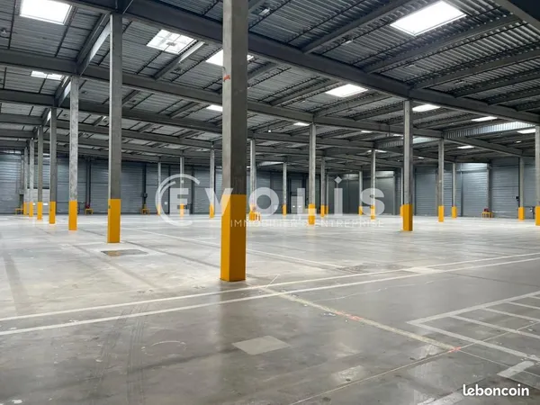Local logistique 10 124 m²