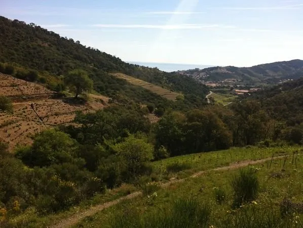 Terrain agricole
