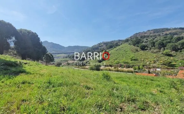 Opportunité rare, terrains à bâtir à Collioure