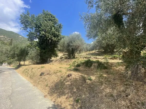 Terrain à bâtir Vente Coaraze  848m² 159000€