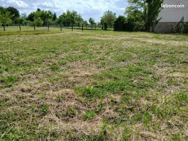 Terrain constructible
