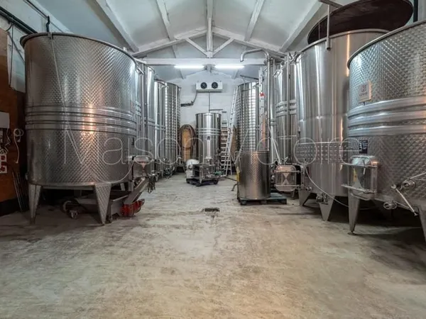 Domaine viticole bio prestigieux avec gîte au pied du Ventoux
