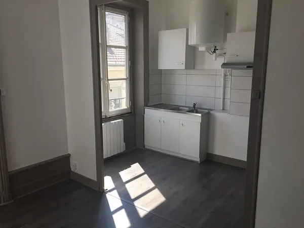 Appartement Saint Etienne 2 pièce(s) 47 m2