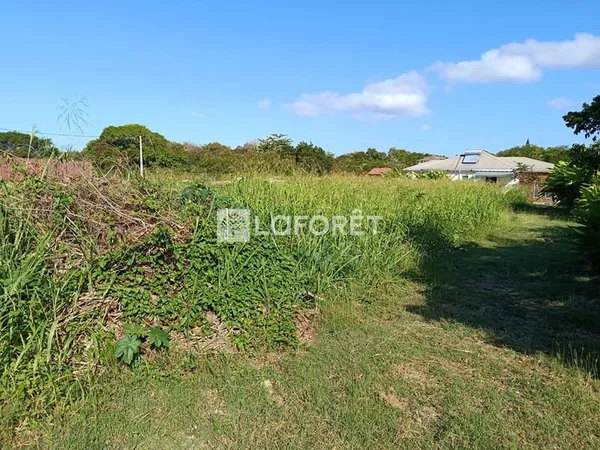 2 Terrains plats viabilisés sur Saint François de 410 et 447 m2 Cayenne