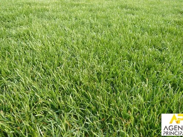 Terrain constructible 1100 m²