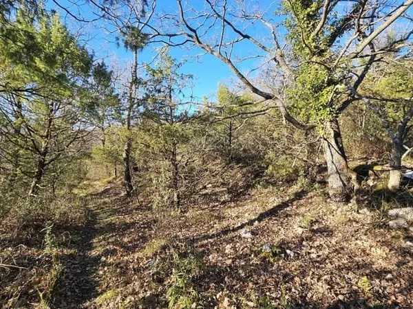 Bien agricole et foncier Vente Saint-Vallier-de-Thiey  24790m² 77000€