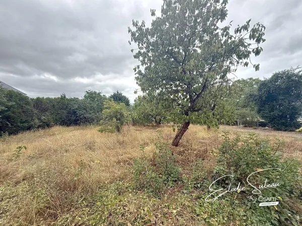 Thorigné d'Anjou - Terrain constructible 600m2