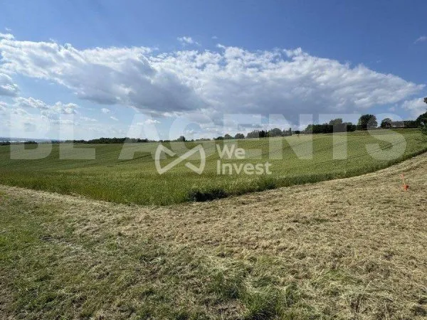 Terrain 2432 m²