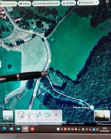 Forêt préservé avec champ et ruisseau
