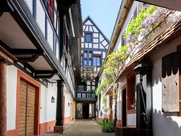 Dpt Bas-Rhin (67), viager à vendre BOERSCH propriete P15 de 480 m²