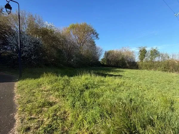 Terrain pruille L'éguillé