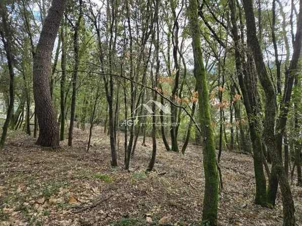 Terrain constructible 799 m²