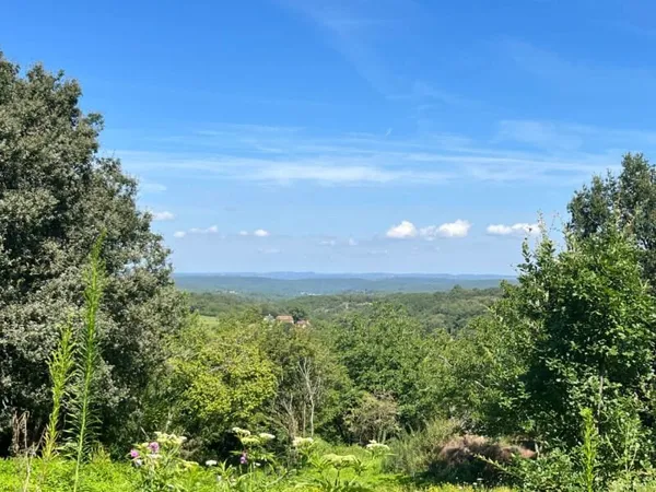 Terrain 8085 m²