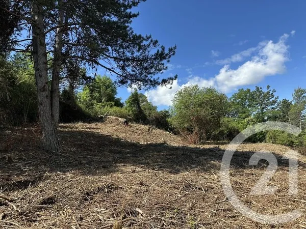 Terrain 3655 m²