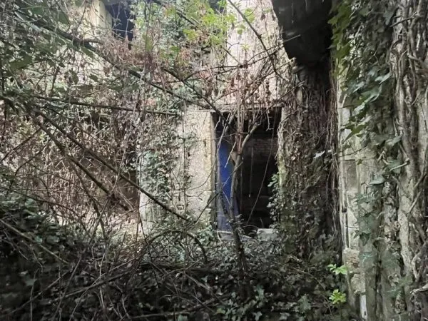 Maison 200 m²