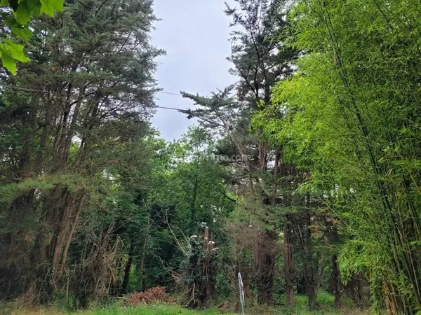 Terrain 14120 m²