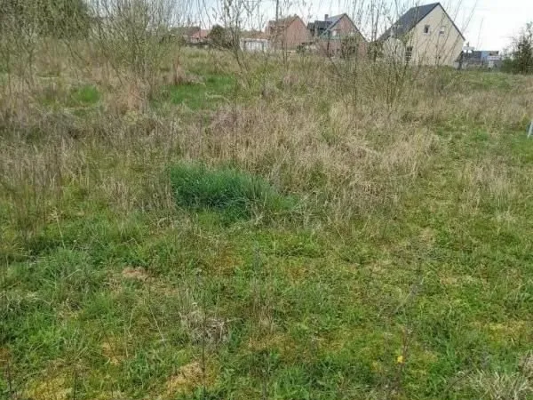 Terrain Bertincourt