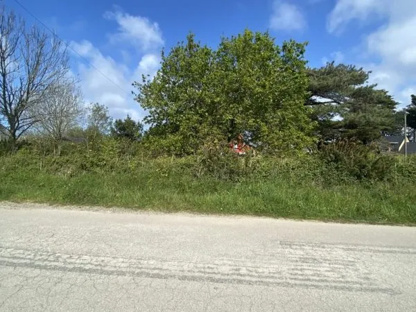 Terrain 289 m²