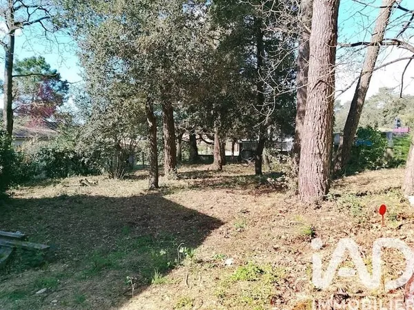 Terrain 244 m²