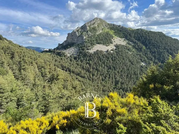 Exclusivité - Alpes-de-Haute-Provence - Domaine de chasse - Zone forestière et agricole
