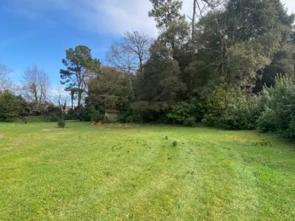 Terrain 1006 m²