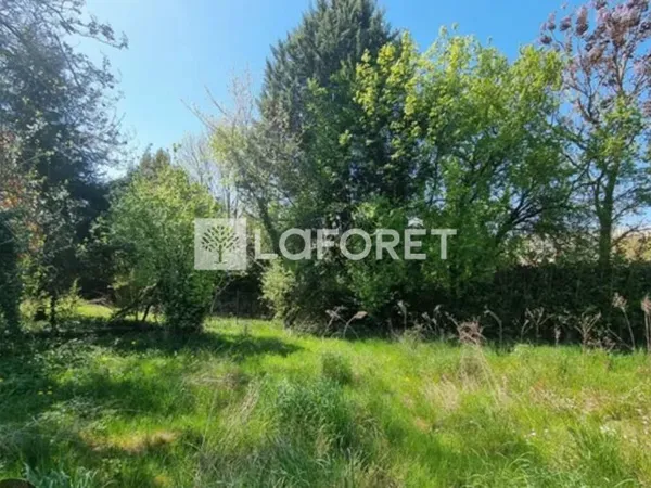 Terrain 1560 m²