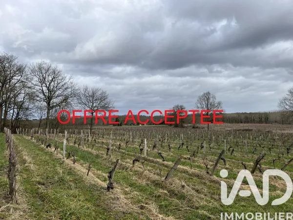 Terrain 132080 m²