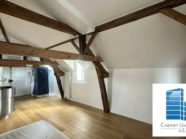 Charmant 2/3 pièces loft